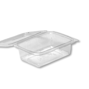 CLEAR MULTI PURPOSE CONTAINERS WITH HINGED LIDS