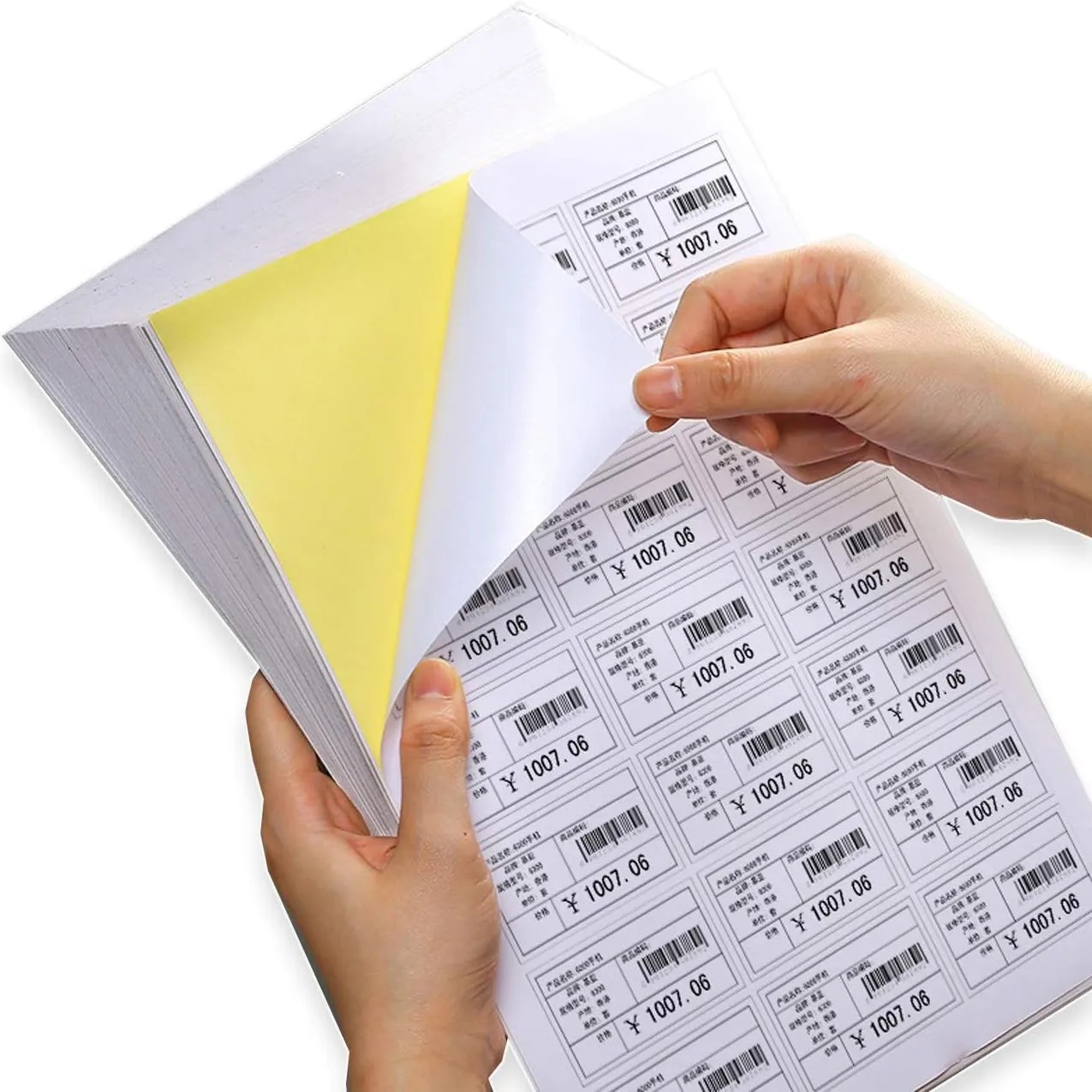 WhatsApp Image 2025-07-29 at 3.50.58 PM