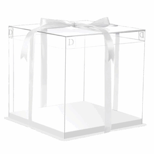 TALL CAKE BOX CLEAR